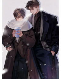 CẢNH VỆ TỪ ĐỈNH CẤP S XUỐNG B ĐƯỢC THIẾU GIA HƯỚNG ĐẠO S CHỮA TRỊ