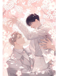 Mưa hoa anh đào ở Brooklyn